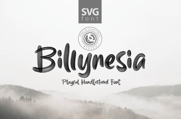 Billynesia: A Chunky Display Font That Builds Brand Trust